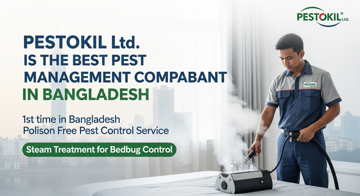 Bedbug Gel A New Solution in Bangladesh