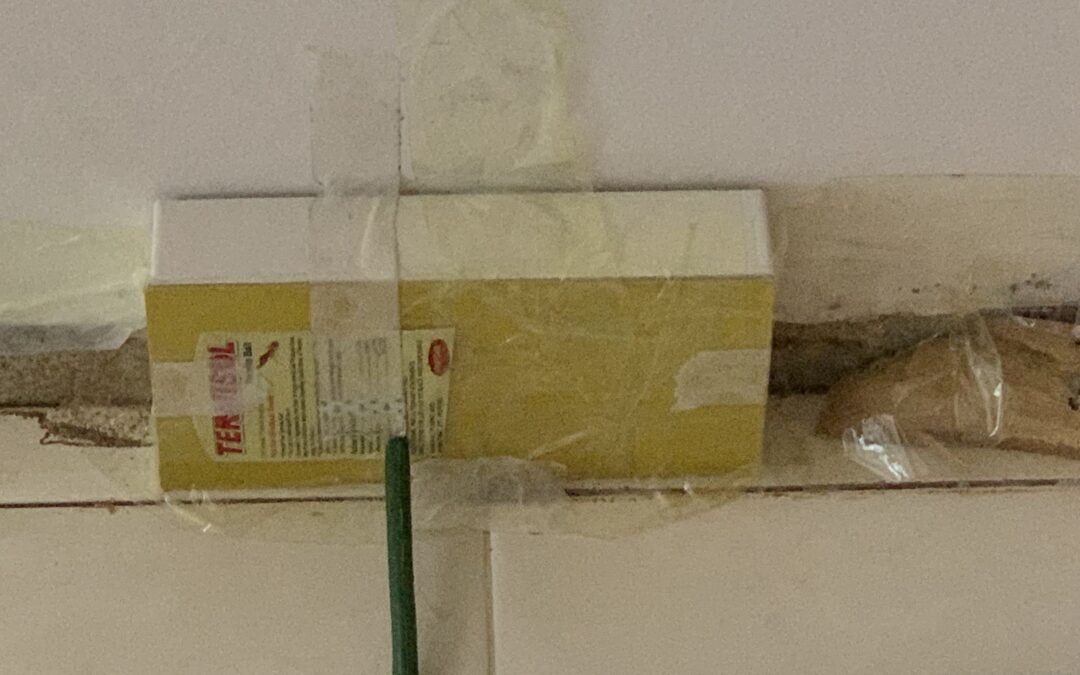 Termite Exterminator bd