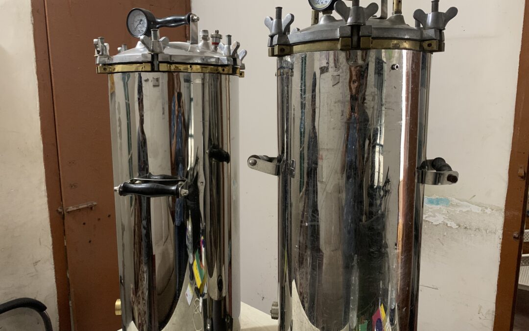 Best bedbug exterminator in BD by steam treatment